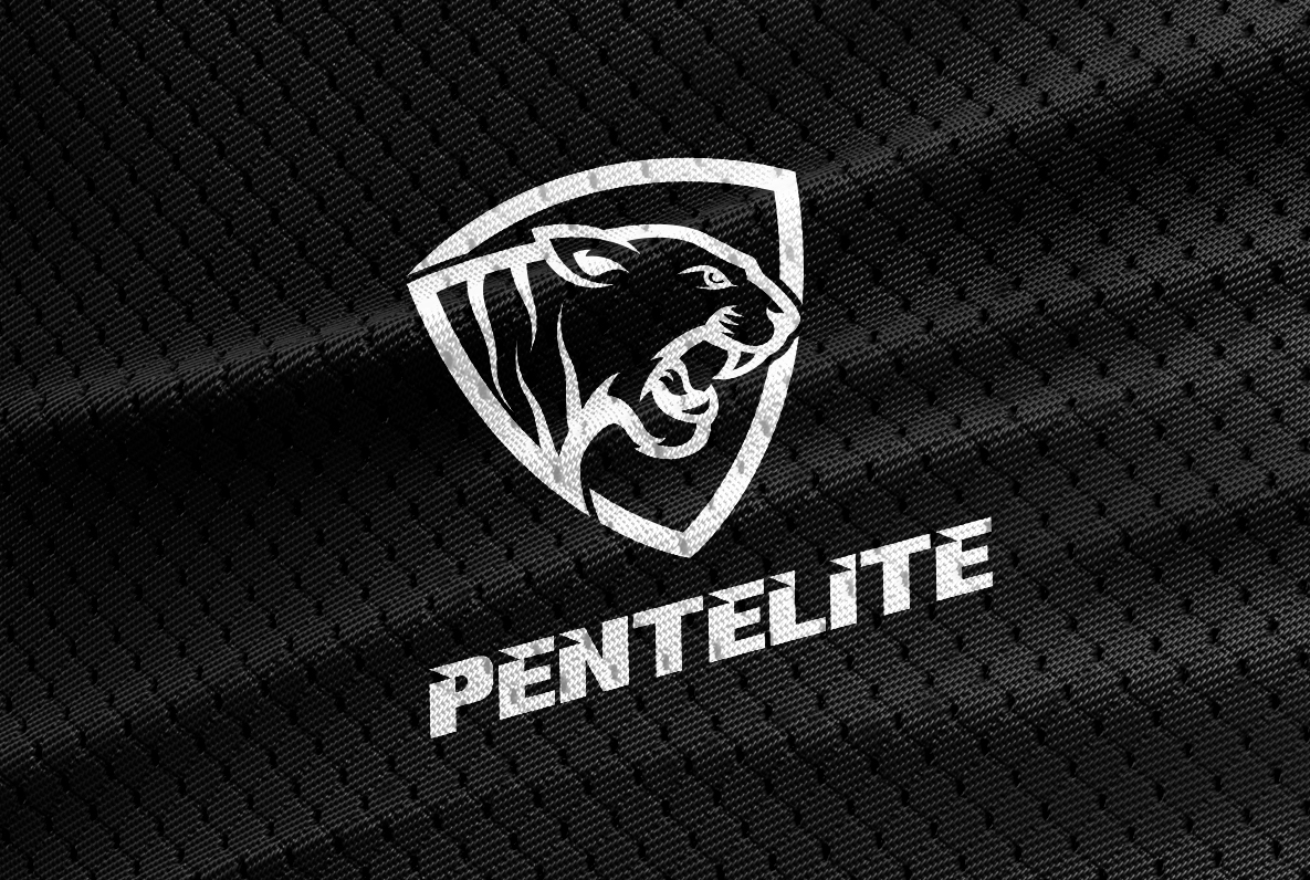 Logo Design by Honey GD for Pentelite | Design #18242215