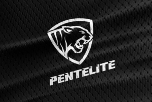 Logo Design by Honey GD for Pentelite | Design: #18242215