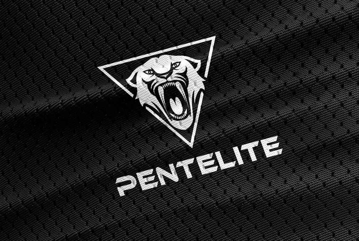 Logo-Design von Honey GD für Pentelite | Design #18283324