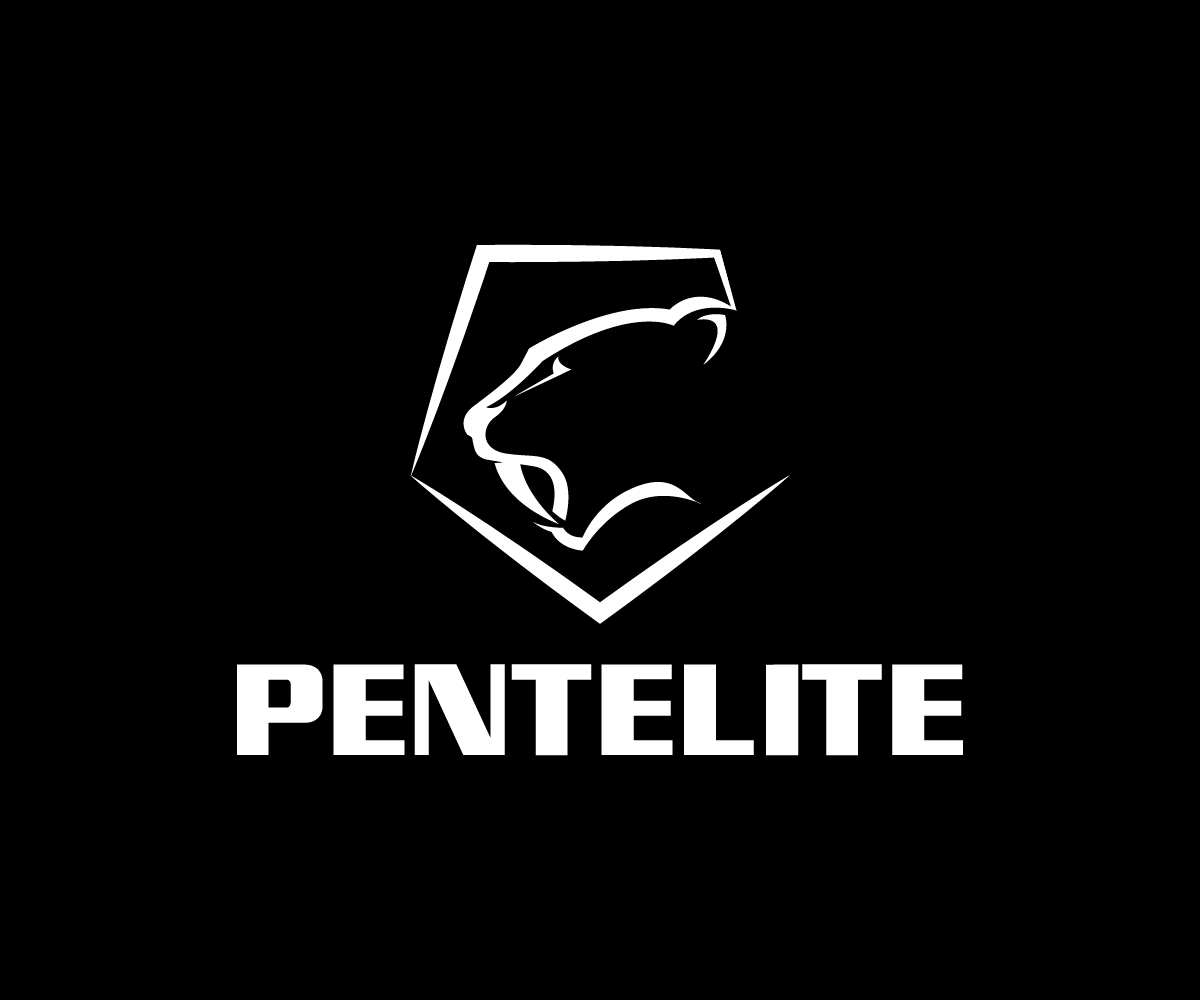 Logo Design by sangeloenriquez for Pentelite | Design #18202800