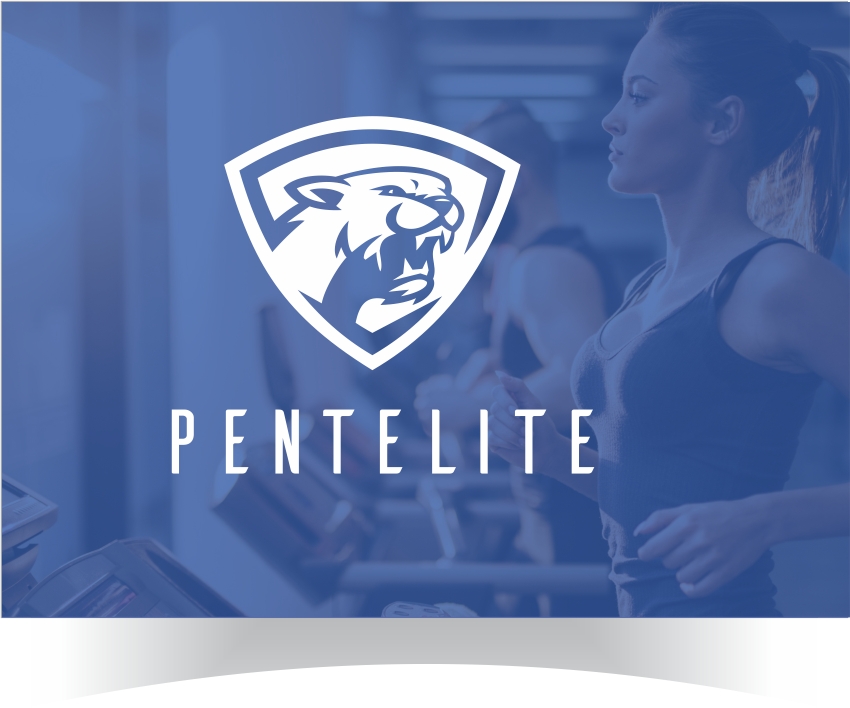 Logo Design by r-toha for Pentelite | Design #18300774