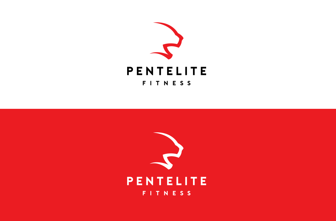 Logo Design by GLDesigns for Pentelite | Design #18200542