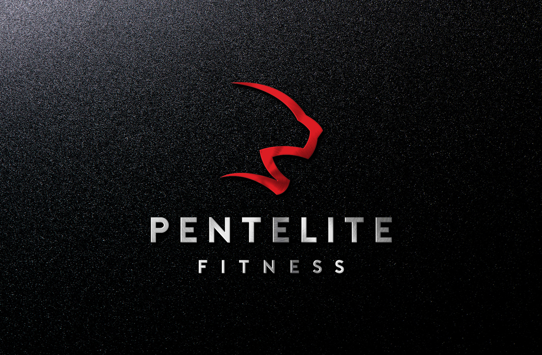 Logo Design by GLDesigns for Pentelite | Design #18200543