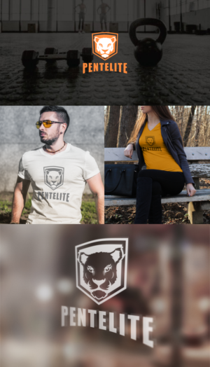 Pentelite  | Logo Design by eudo