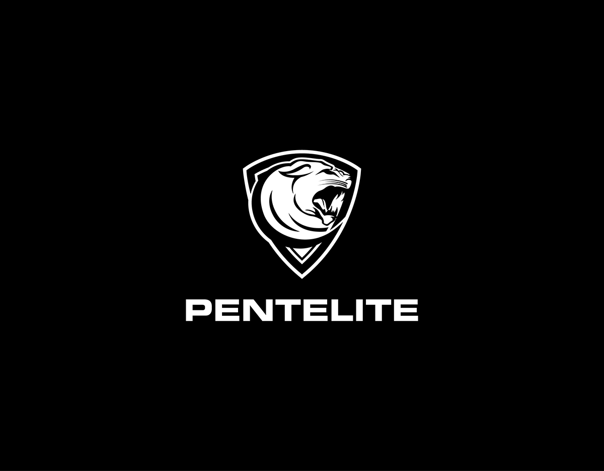 Logo Design by Admira Graphics for Pentelite | Design #18225673