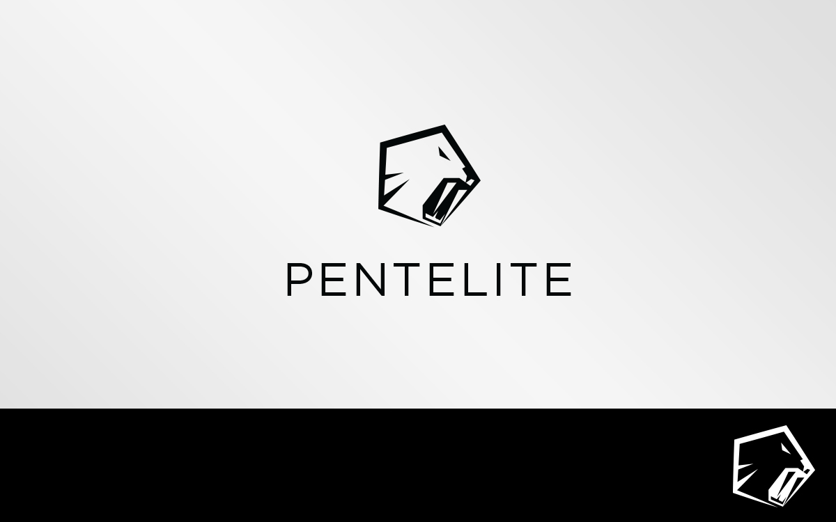 Logo Design by Grafactory for Pentelite | Design #18204728