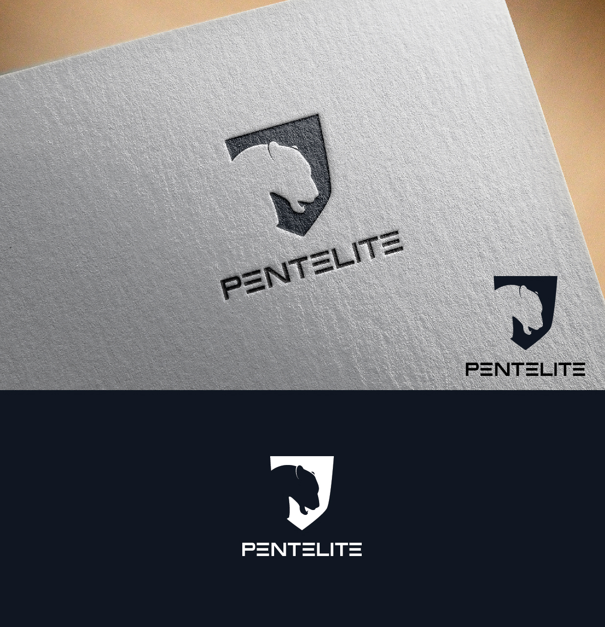 Logo Design by Ves-Boycheva for Pentelite | Design #18334948