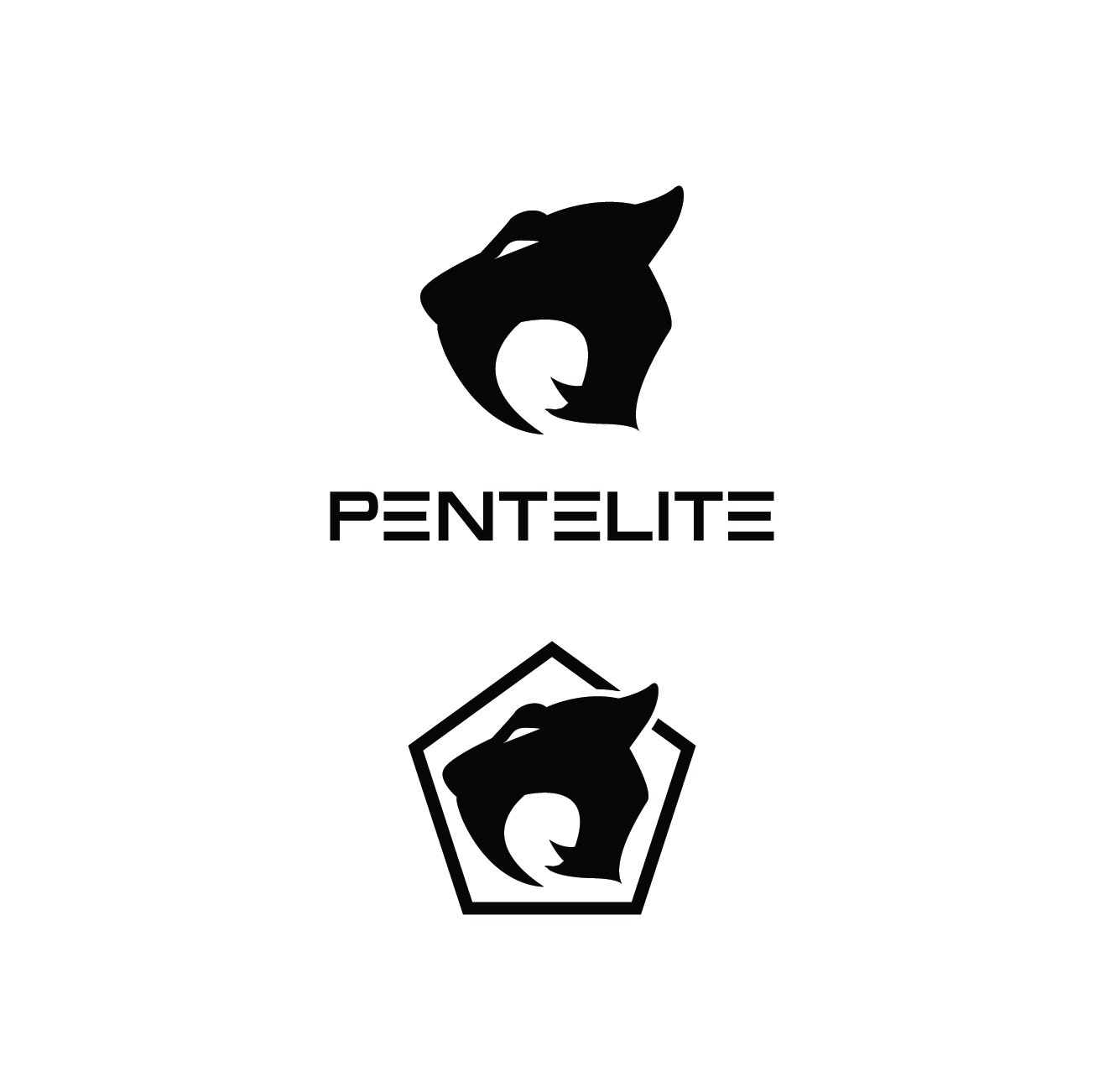 Logo Design by Ves-Boycheva for Pentelite | Design #18342126