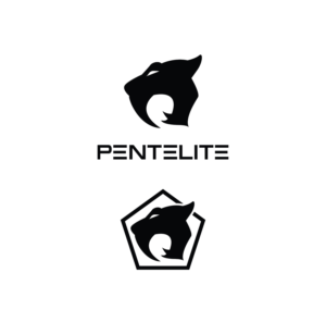 Logo Design by Ves-Boycheva for Pentelite | Design: #18342126