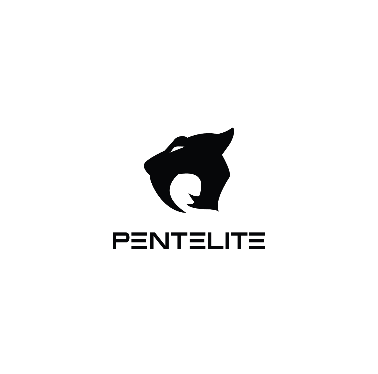 Logo Design by Ves-Boycheva for Pentelite | Design #18342127
