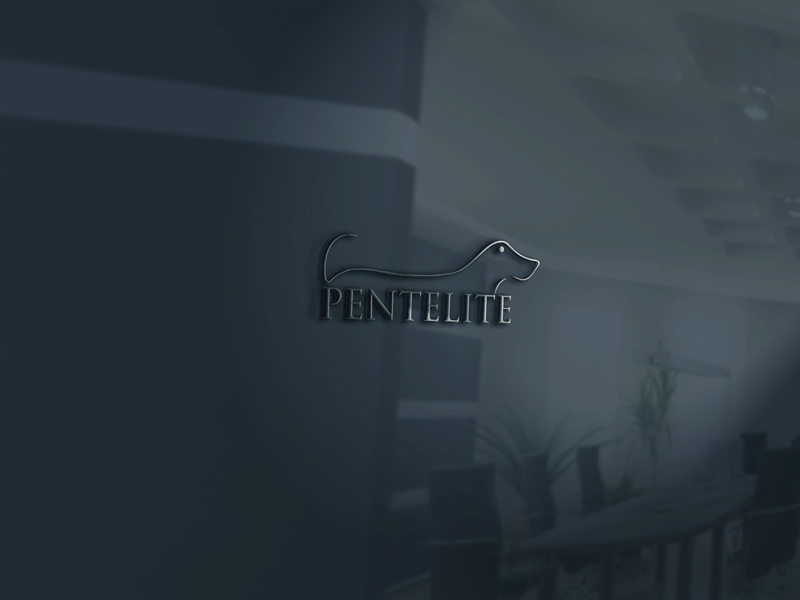 Logo Design by skyDesignbox for Pentelite | Design #18239314