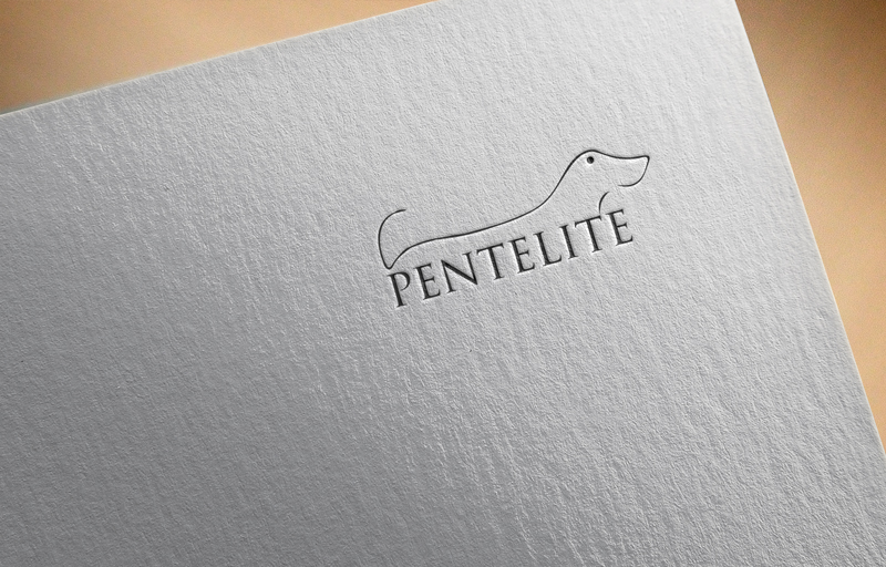 Logo Design by skyDesignbox for Pentelite | Design #18239318