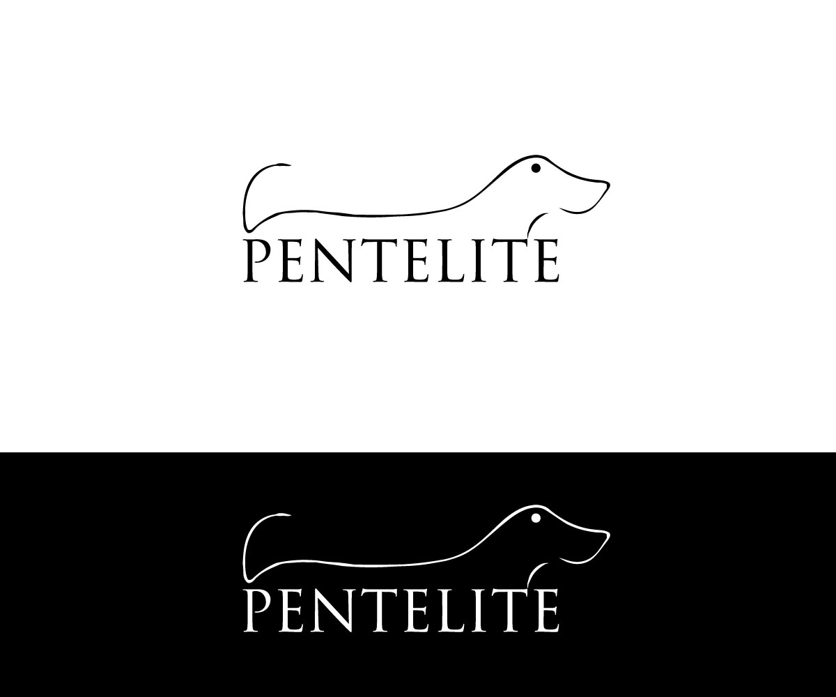 Logo Design by skyDesignbox for Pentelite | Design #18239319
