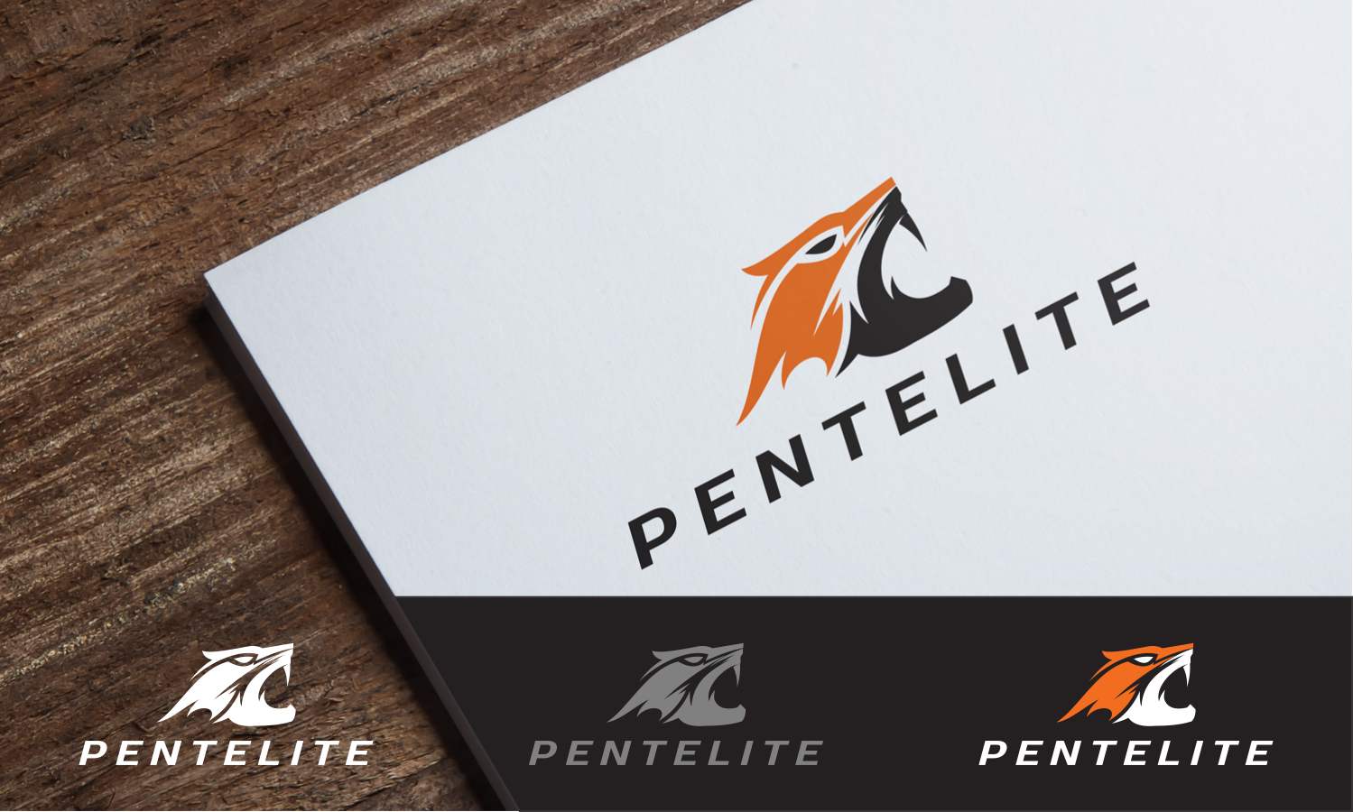 Logo Design by DoMadic for Pentelite | Design #18340723