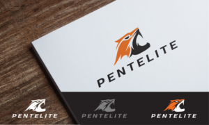 Logo Design by DoMadic for Pentelite | Design: #18340723