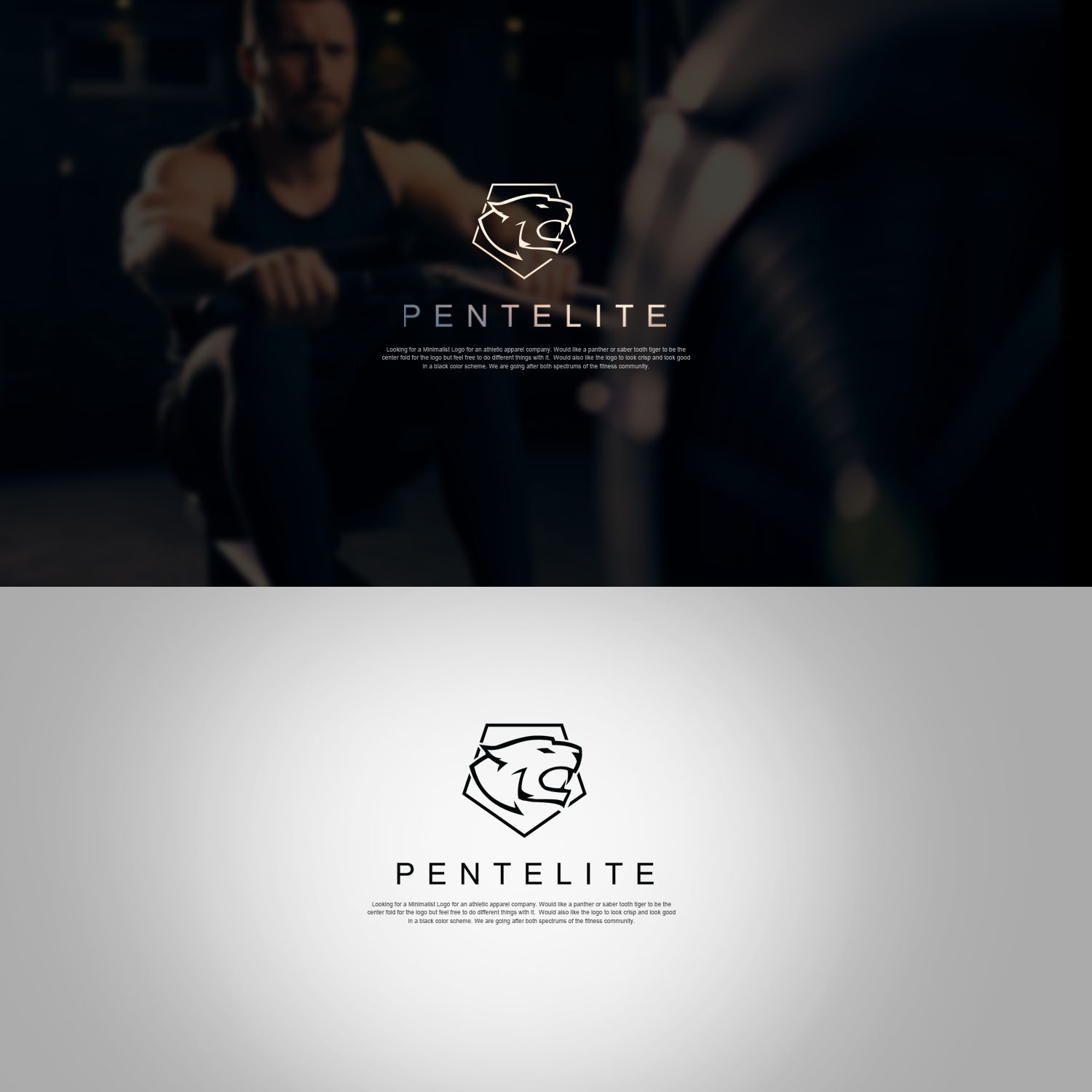 Logo Design by graphic.art13 for Pentelite | Design #18206259