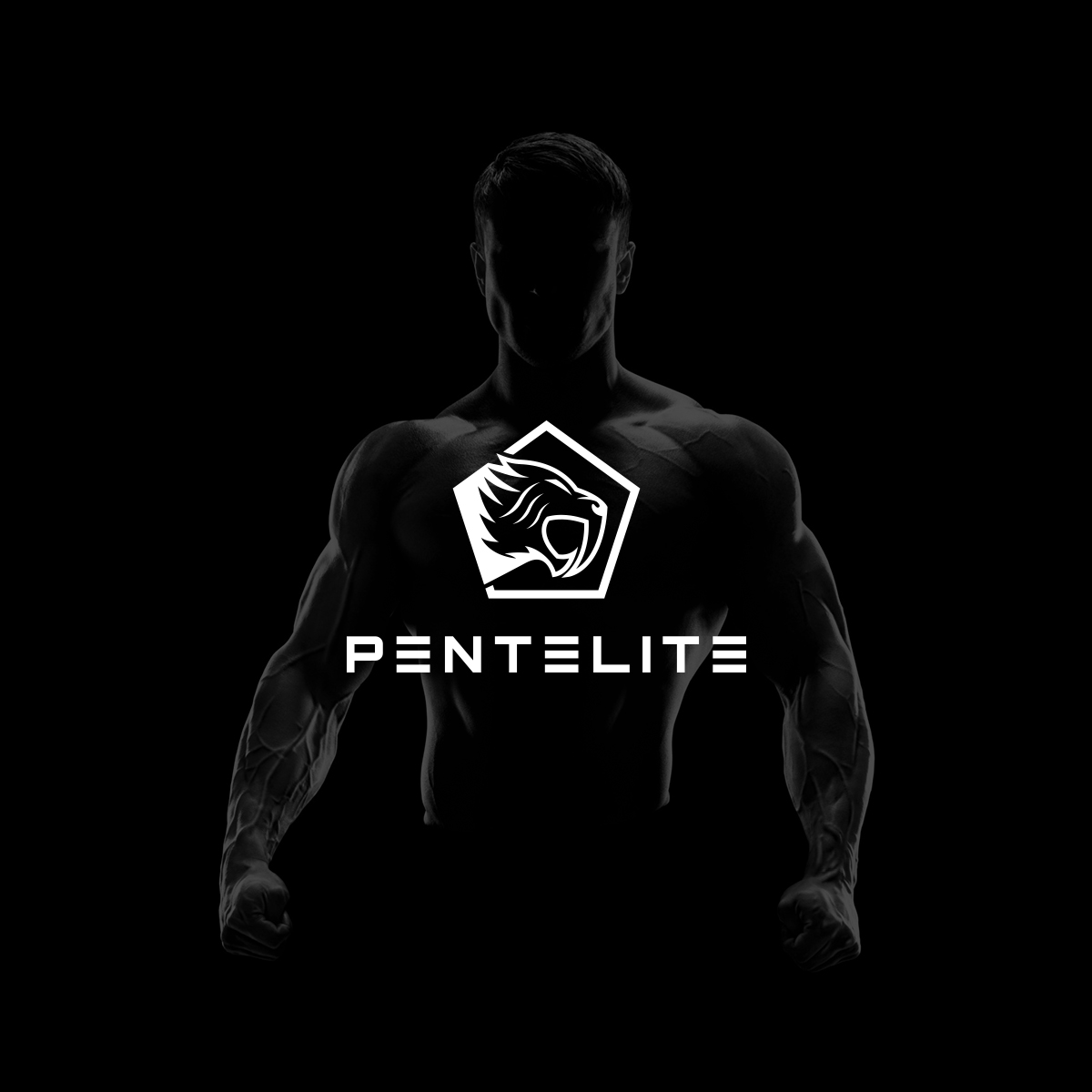Logo Design by ktmlc4 for Pentelite | Design #18209503