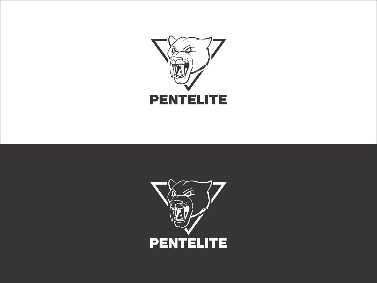 Logo Design by Fine Graphics House for Pentelite | Design #18238642