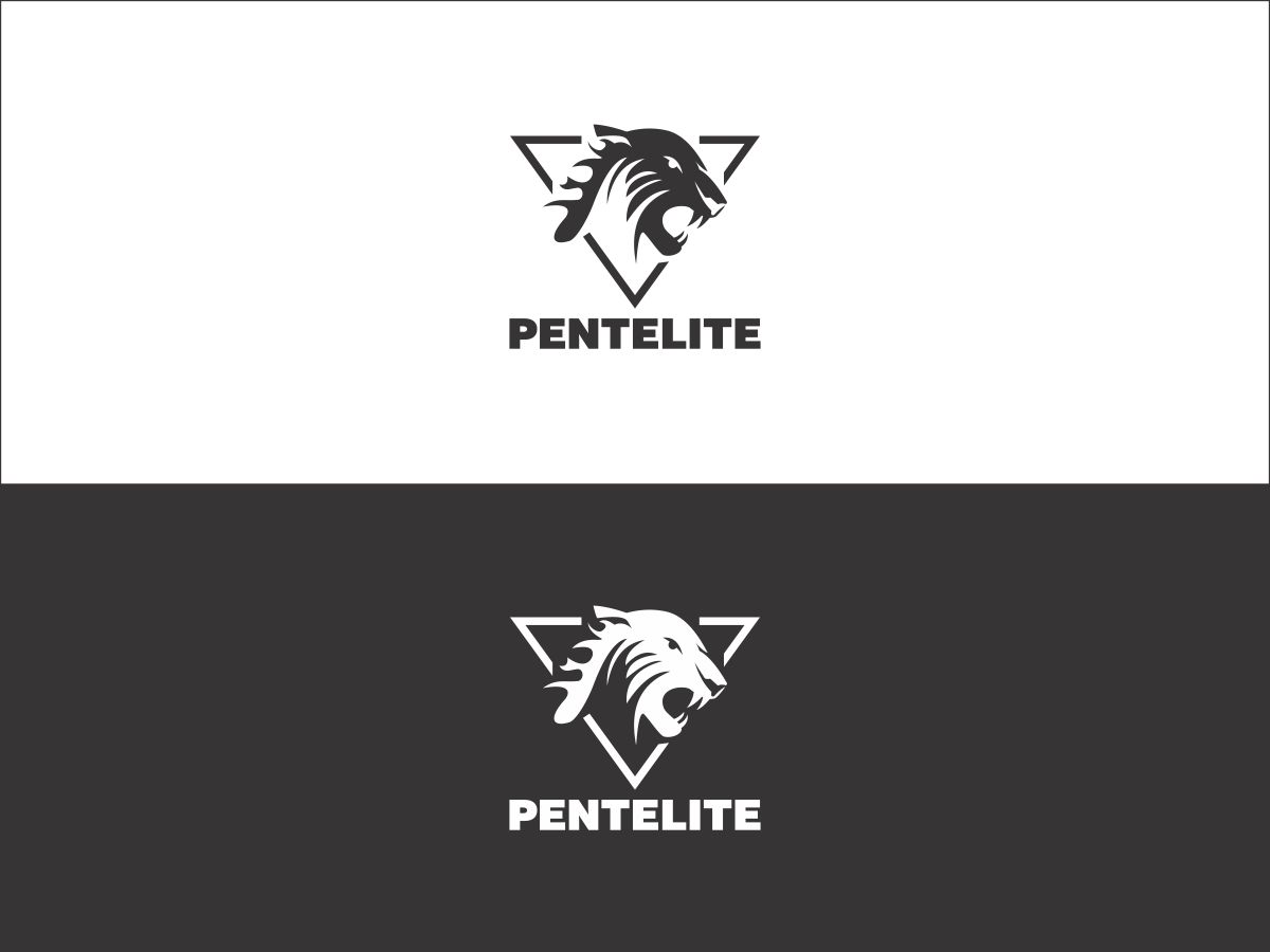 Logo Design by Fine Graphics House for Pentelite | Design #18238654