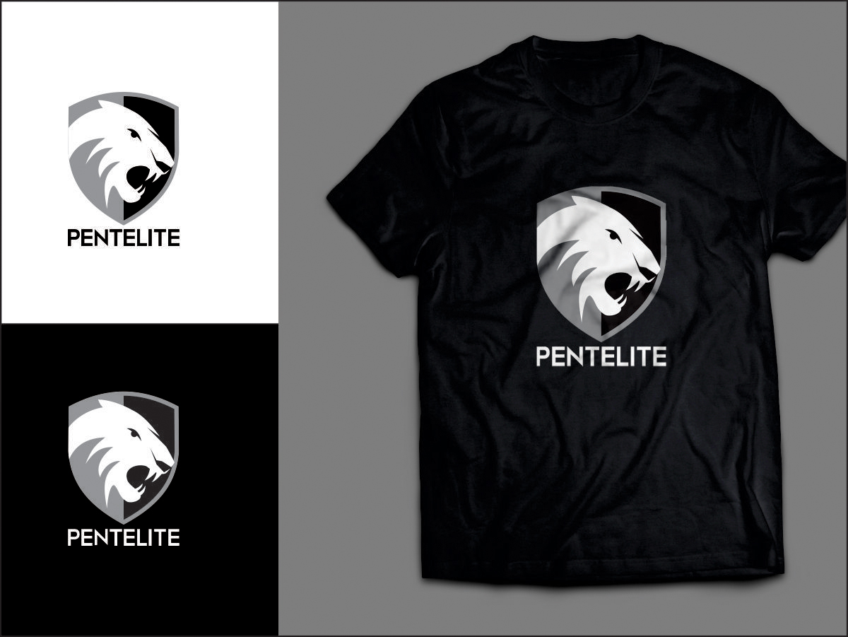 Logo Design by Fine Graphics House for Pentelite | Design #18292396