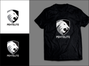 Logo Design by Fine Graphics House for Pentelite | Design: #18292396