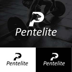 Logo Design by concepts for Pentelite | Design #18273711