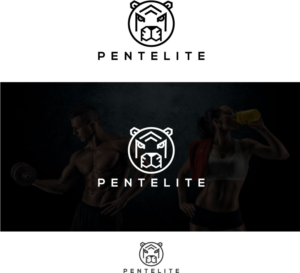 Logo Design by h27 for Pentelite | Design: #18218319