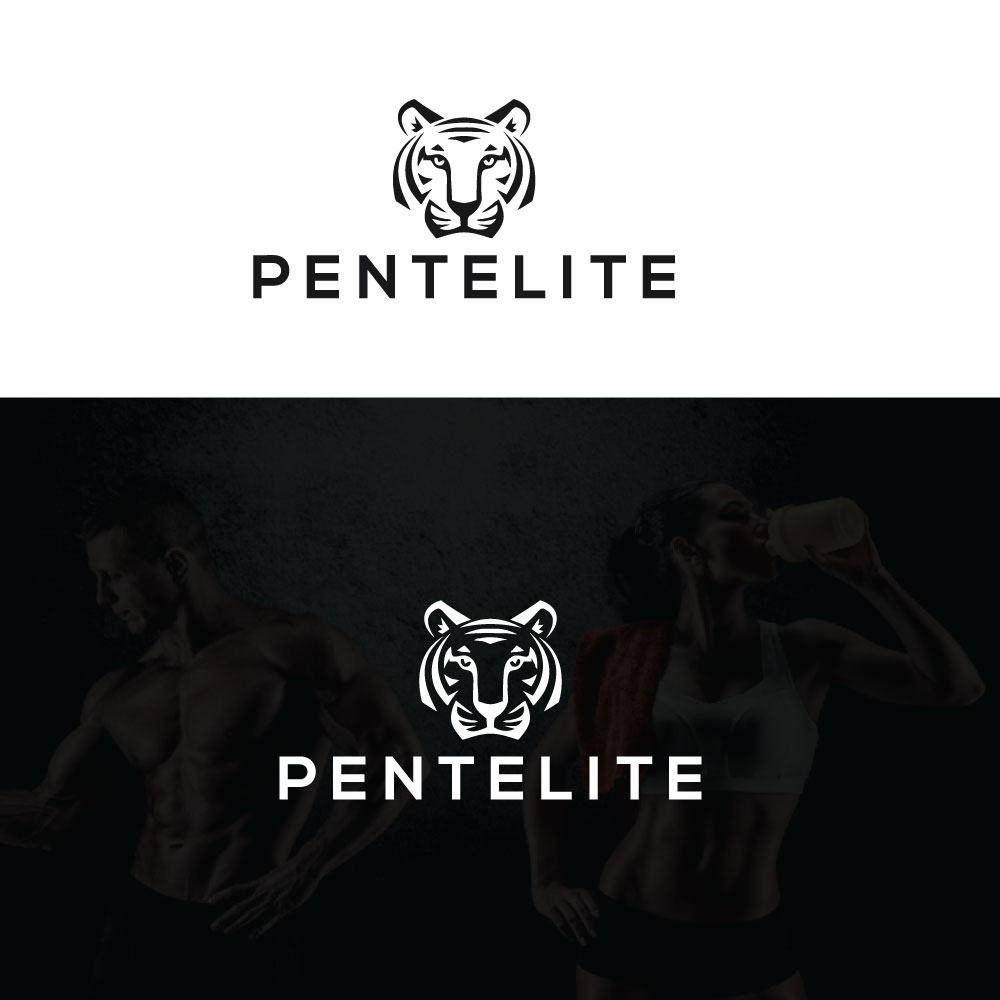 Logo Design by h27 for Pentelite | Design #18222966