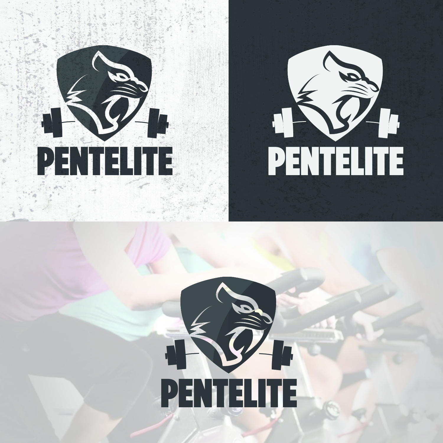 Logo Design by im.ryan for Pentelite | Design #18261873