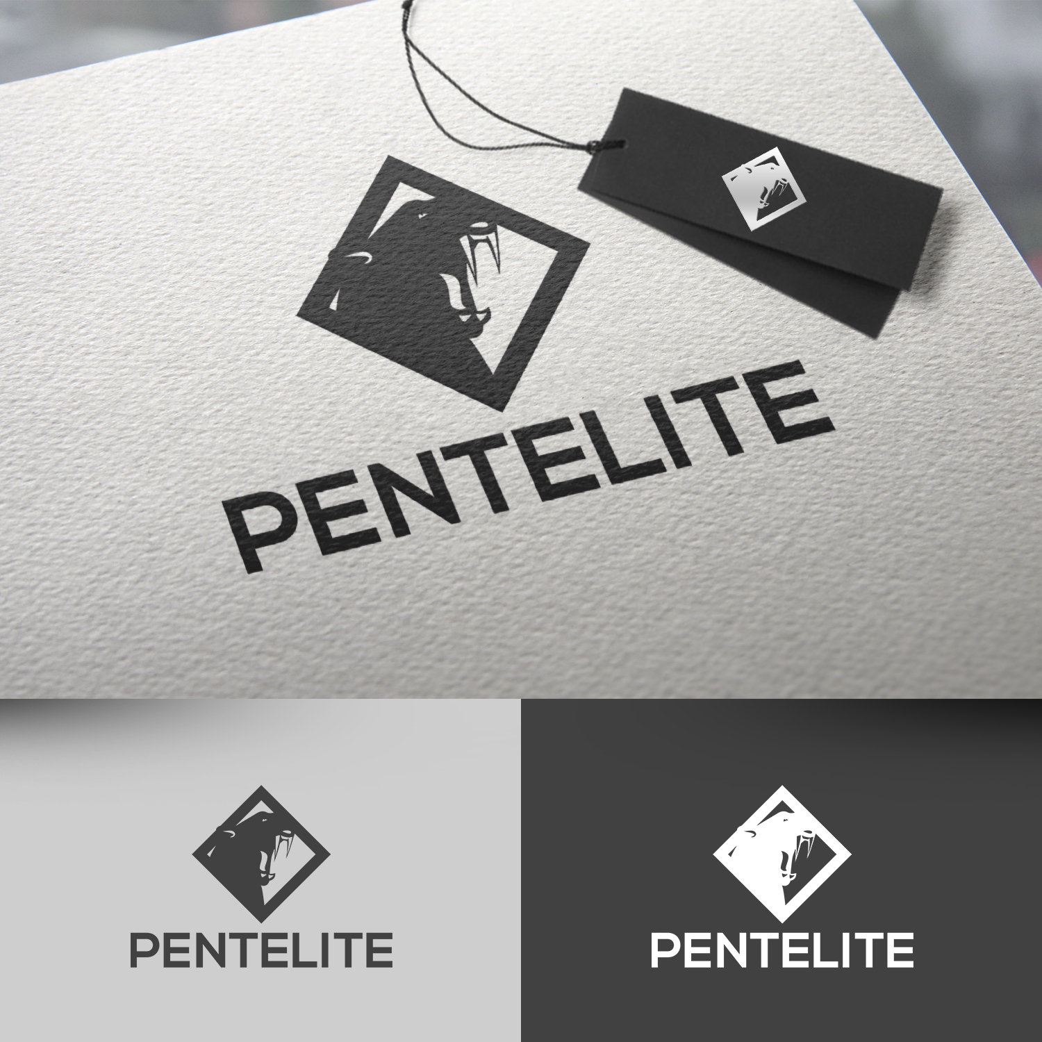 Logo Design by rafaeldsgn for Pentelite | Design #18200612