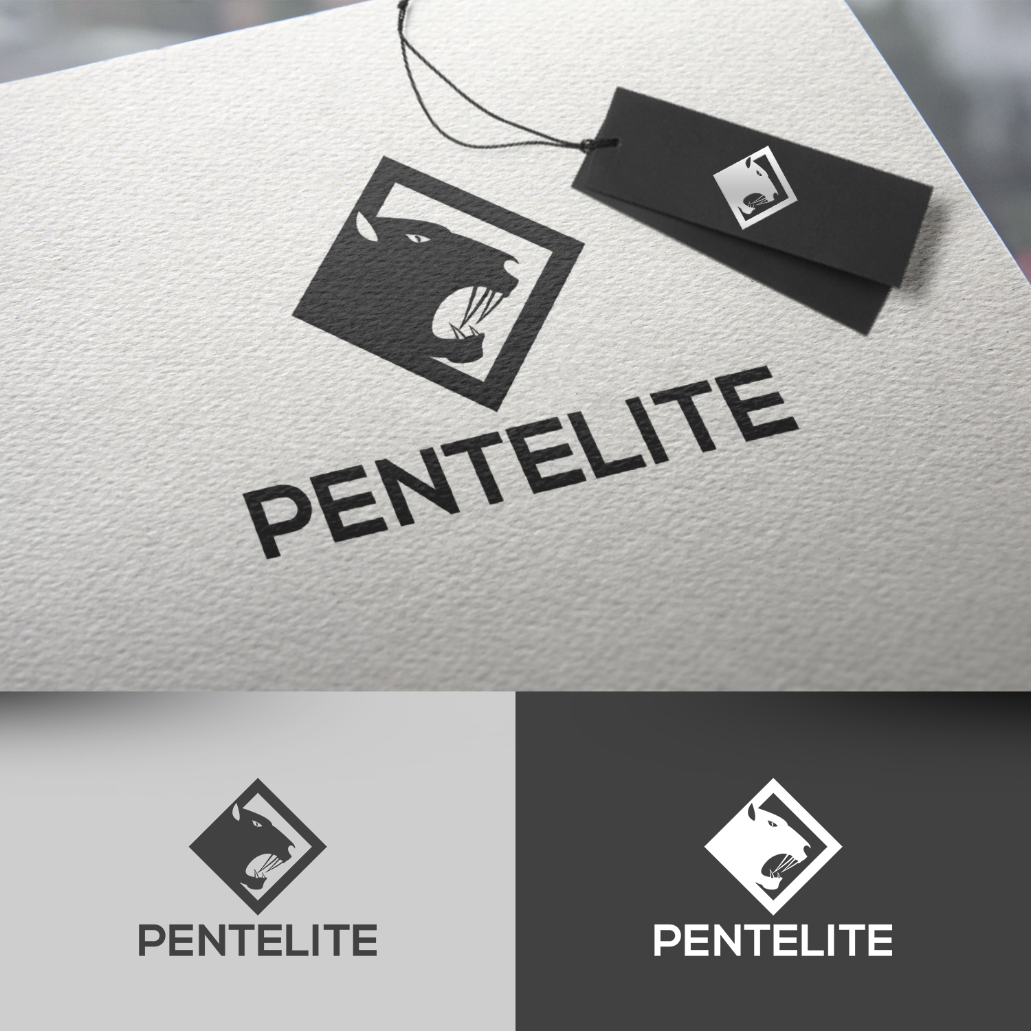 Logo Design by rafaeldsgn for Pentelite | Design #18206132