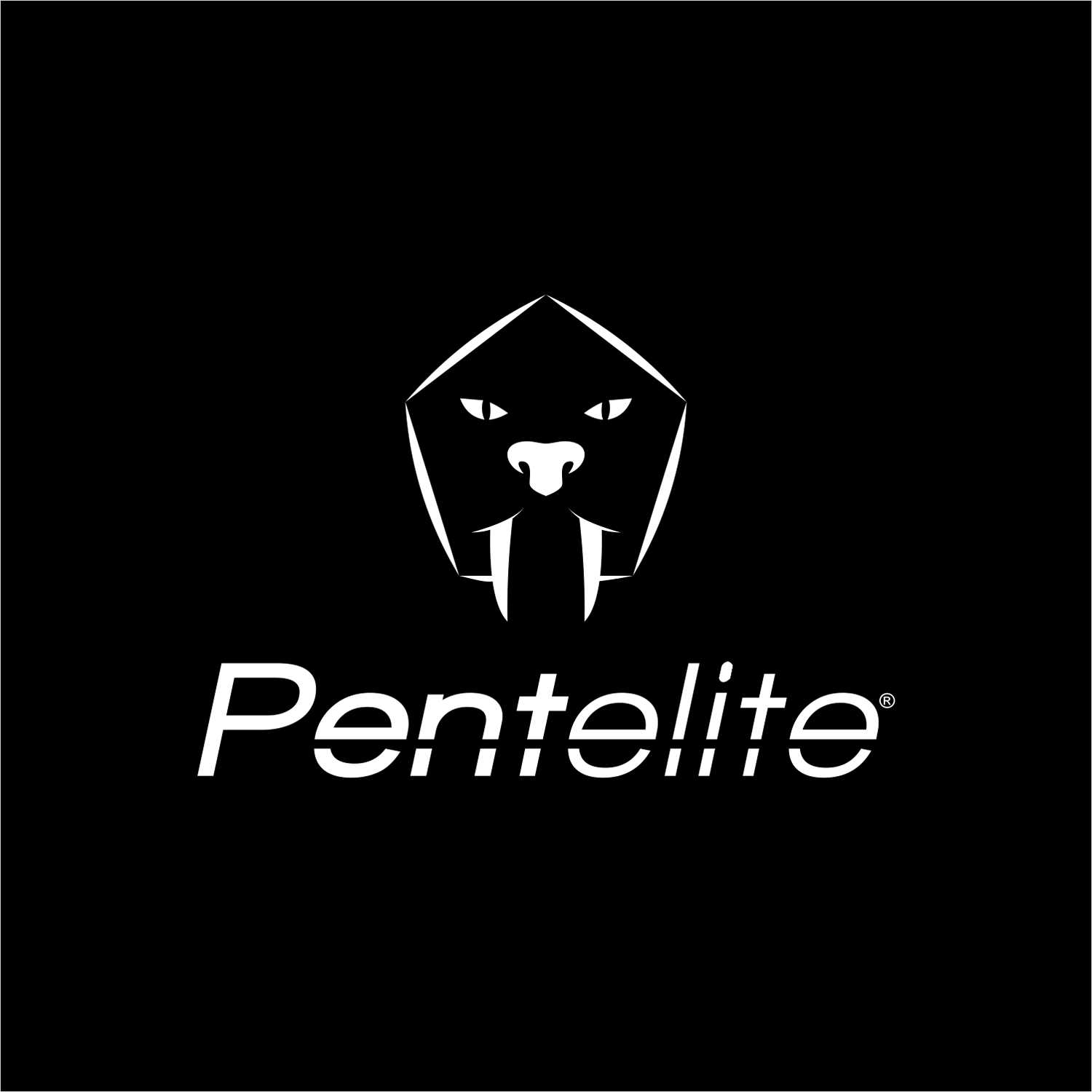 Logo Design by Criollo's Art for Pentelite | Design #18213871