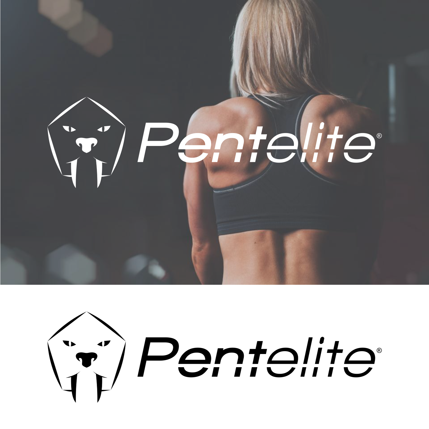Logo Design by Criollo's Art for Pentelite | Design #18213872