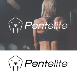 Logo Design by Criollo's Art for Pentelite | Design: #18213872