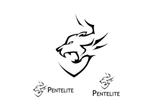 Logo Design by D2 Designer