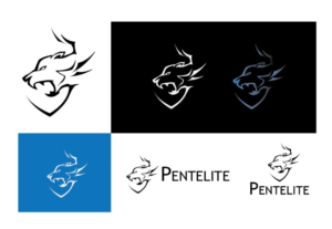 Logo Design by D2 Designer for Pentelite | Design: #18341695