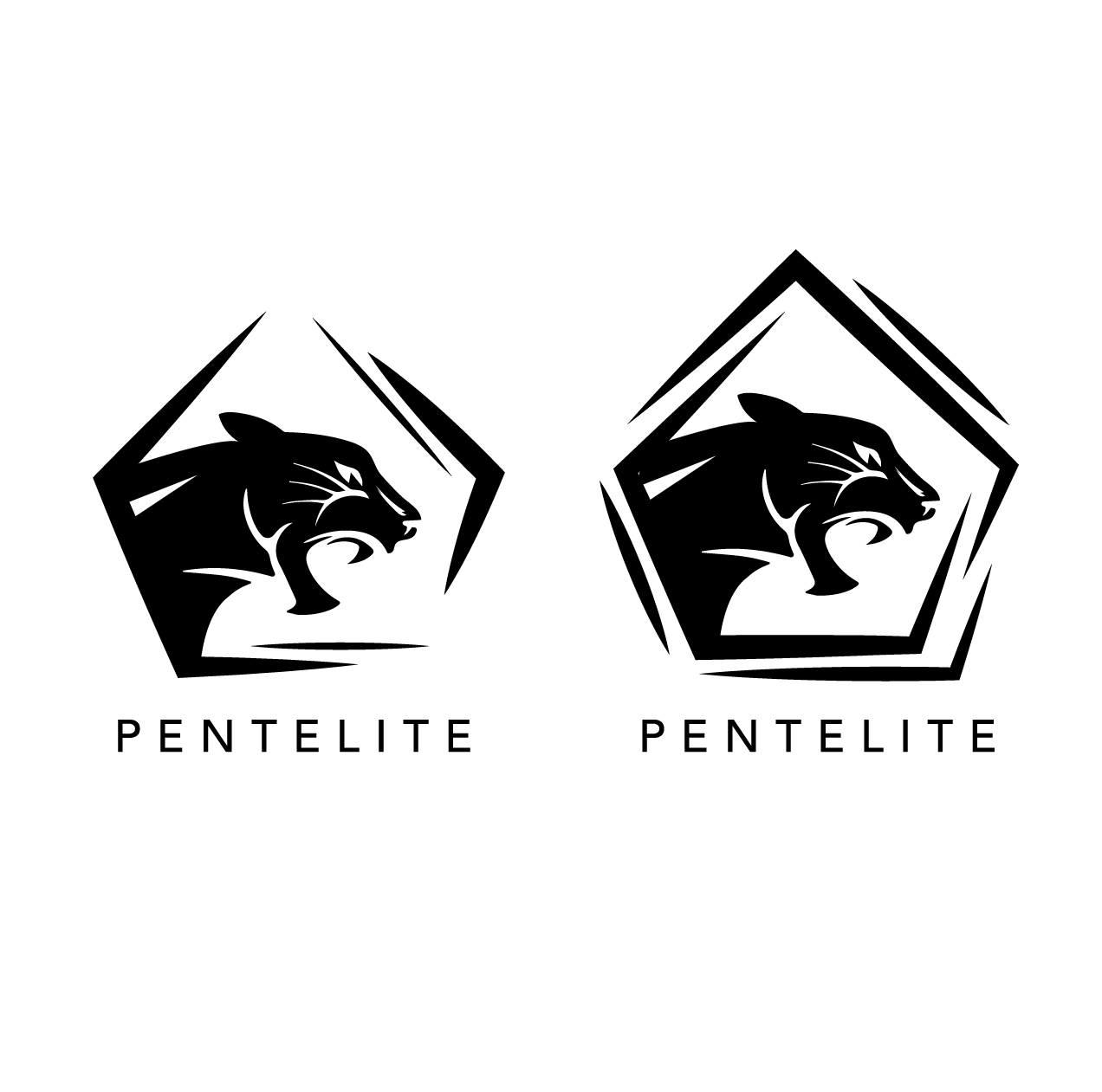 Logo Design by Kimh for Pentelite | Design #18221748