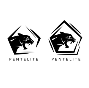 Pentelite  | Logo Design by Kimh