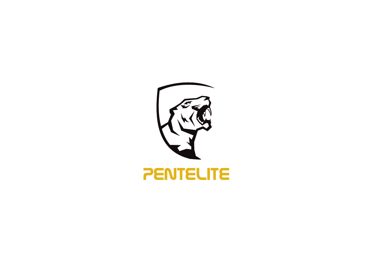Logo Design by said hassan for Pentelite | Design #18212646