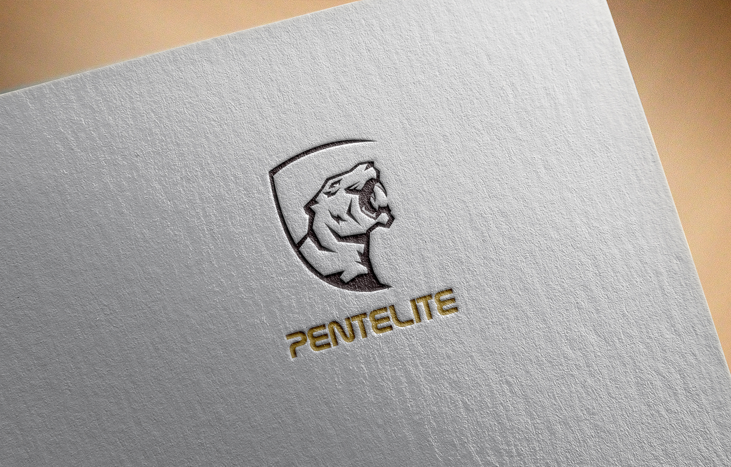 Logo-Design von said hassan für Pentelite | Design #18212647