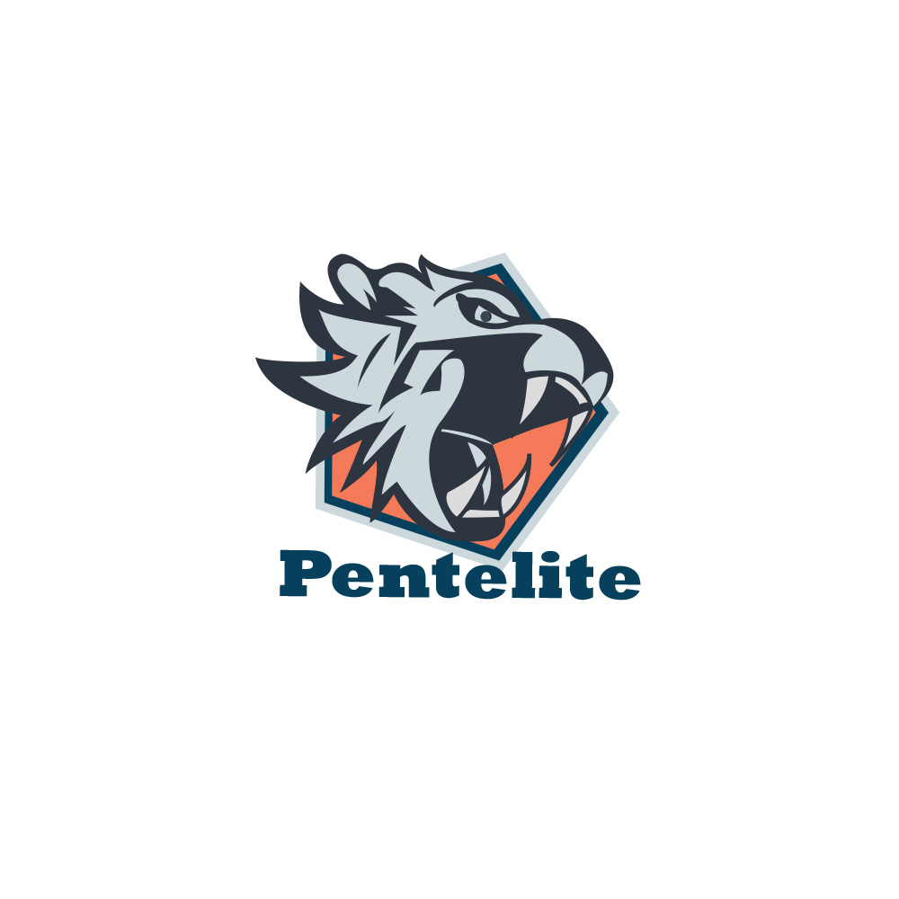 Logo Design by TuanVy for Pentelite | Design #18325443