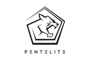 Logo Design by YoursTrulySC for Pentelite | Design #18205686