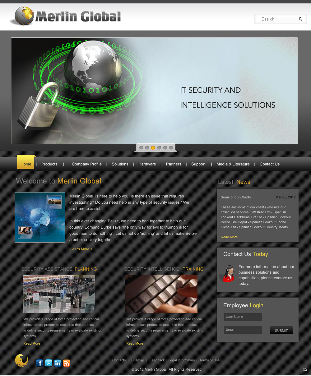 Web Design by pb for Merlin Global, Inc. | Design #654155