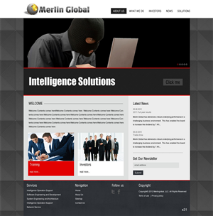 Web Design by pb for Merlin Global, Inc. | Design: #657298