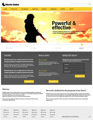 Web Design by pb for Merlin Global, Inc. | Design: #661834