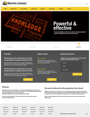 Web Design by pb for Merlin Global, Inc. | Design: #665090