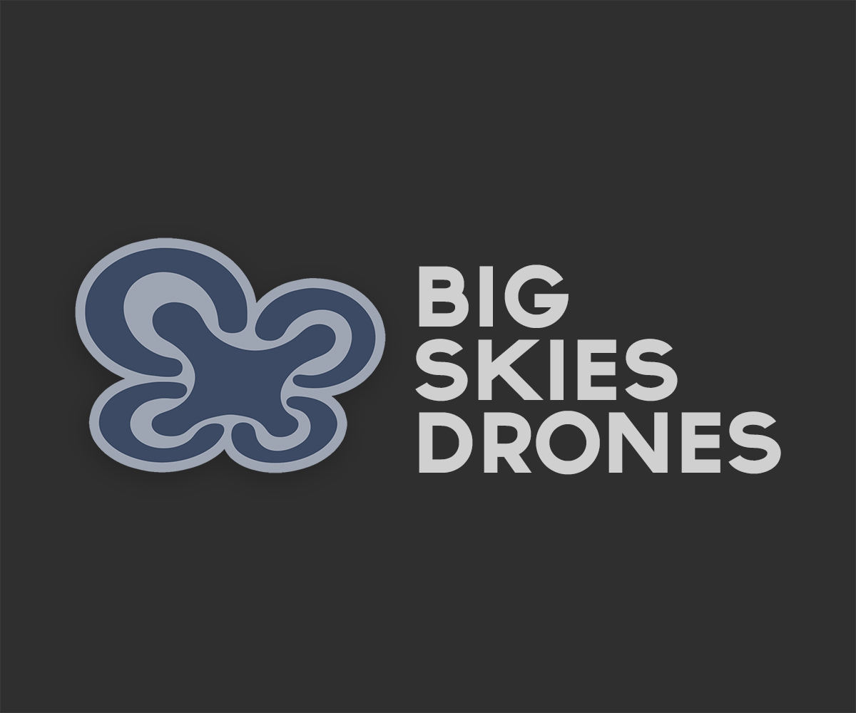 Design de Logo par Duckyfx pour Peace Pilates Plie’ | Design #18415007