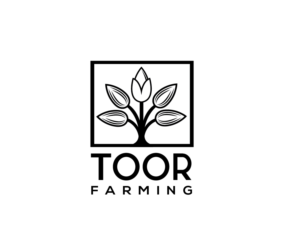 Toor  | Design de Logo par renderman