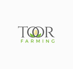 Toor  | Logo Design by Creative™