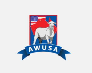 Logo Design by Suheri